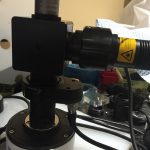 Private Label Microscope with 1-, 3- or 6-LEDs-10017