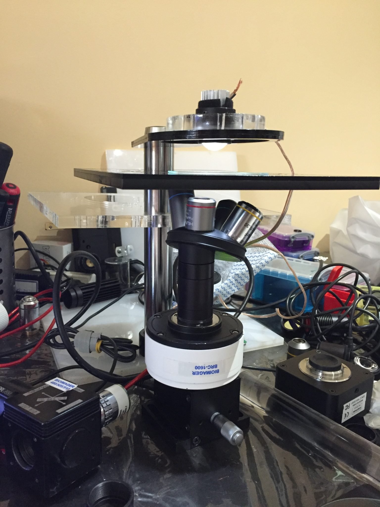 Private Label Microscope with 1-, 3- or 6-LEDs-10012