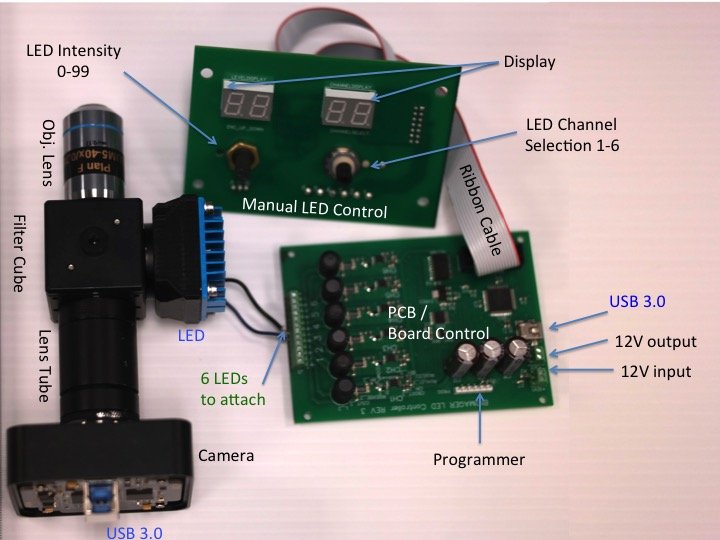 Private Label Microscope with 1-, 3- or 6-LEDs-10021