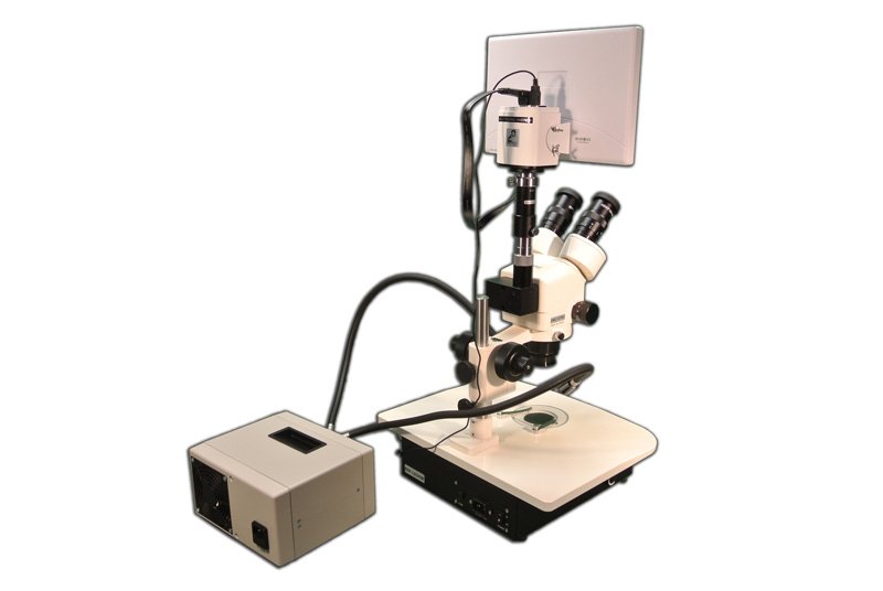 IVF TRINOCULAR IN-VITRO FERTILIZATION SYSTEM STEREO MICROSCOPE-10207