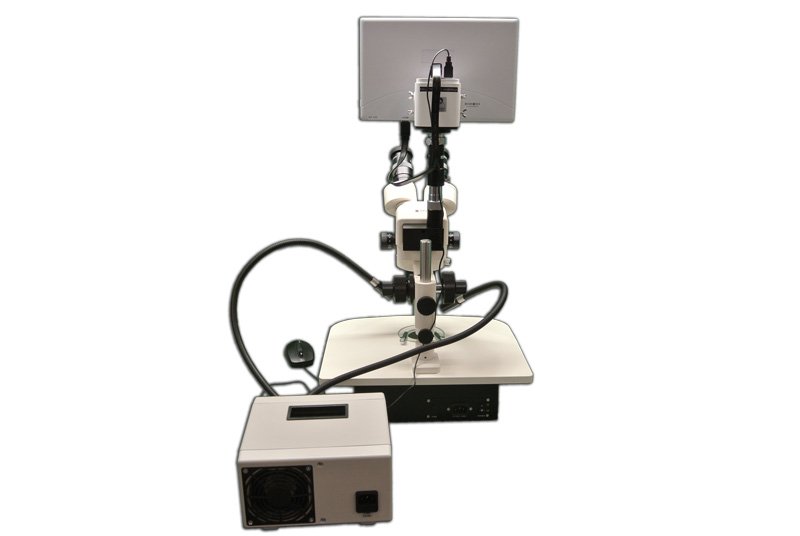 IVF TRINOCULAR IN-VITRO FERTILIZATION SYSTEM STEREO MICROSCOPE-10206