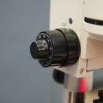 High-Resolution & High-Power Fluorescence In Vivo Imaging-10534