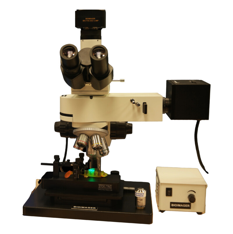 High-Resolution High-Power Fluorescence In Vivo Imaging