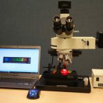 High-Resolution & High-Power Fluorescence In Vivo Imaging-10308