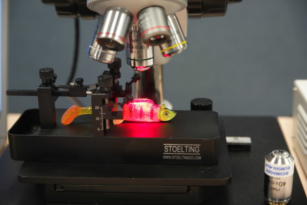 High-Resolution & High-Power Fluorescence In Vivo Imaging-0