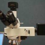 High-Resolution & High-Power Fluorescence In Vivo Imaging-10540