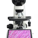 BUM340L-16MP Upright Biological/Clinical Microscope with 16MP Camera & 9.7" Touch Screen-10281