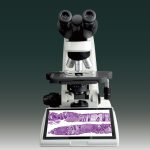 BUM340L-16MP Upright Biological/Clinical Microscope with 16MP Camera & 9.7" Touch Screen-10284