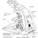 BUM340L-16MP Upright Biological/Clinical Microscope with 16MP Camera & 9.7" Touch Screen-10285