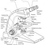 BUM340L-16MP Upright Biological/Clinical Microscope with 16MP Camera & 9.7" Touch Screen-10286