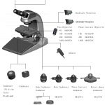 BUM340L-16MP Upright Biological/Clinical Microscope with 16MP Camera & 9.7" Touch Screen-10278