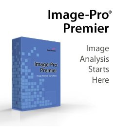 Pathology and Immunohistochemistry Analysis with Image-Pro Premier Software