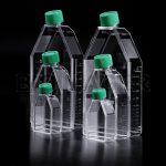 Cell Culture Flasks-0