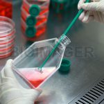 Cell Culture Flasks-10407