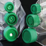 Cell Culture Flasks-10406