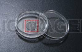Confocal 35-mm Coverglass-Bottom Petri-Dish-10409