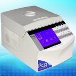 Gradient PCR Thermal Cycler K960-0