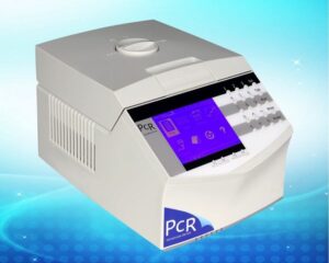 Gradient PCR Thermal Cycler K960-0