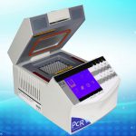 Gradient PCR Thermal Cycler K960-10600