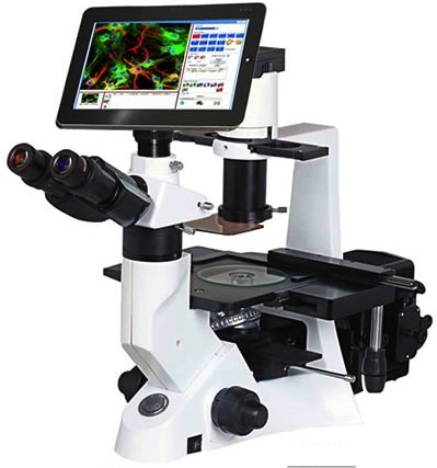BIM500P Polarized Biological Inverted Microscope 40x-400x-0