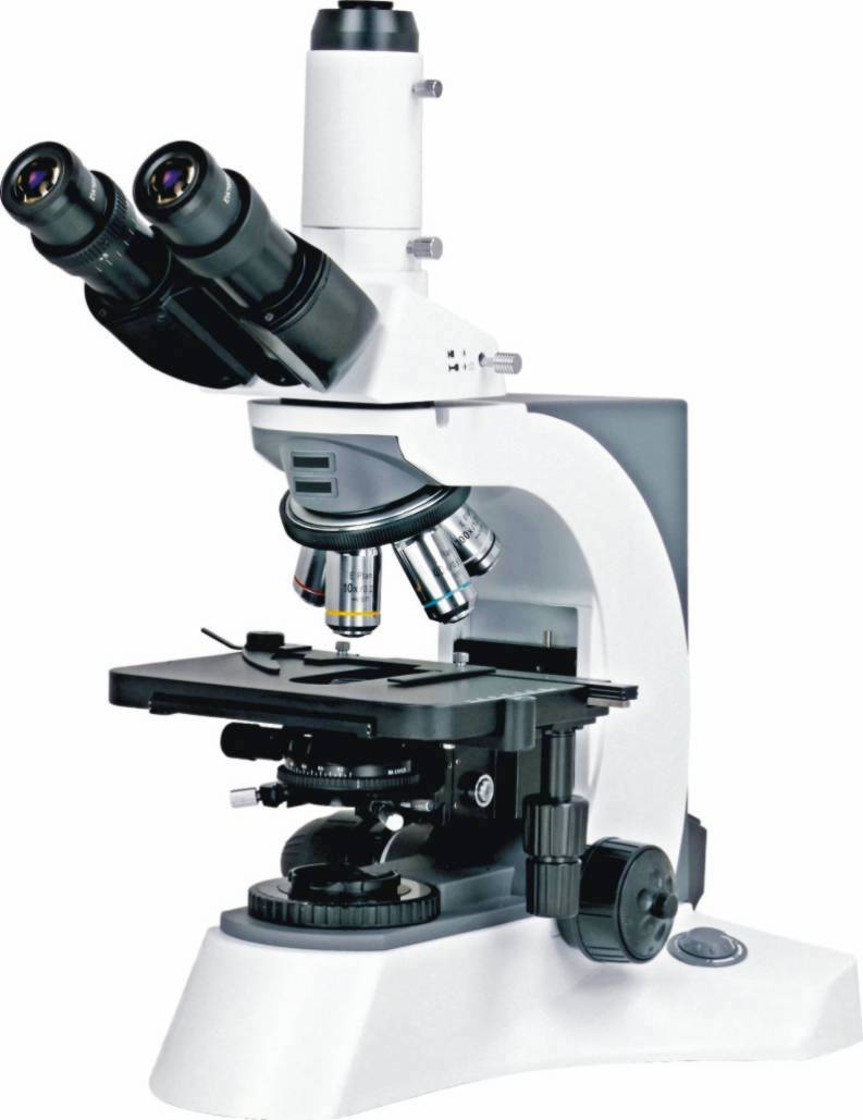 BUM500DIC Upright Biological Microscope with DIC and Phase Contrast Imaging