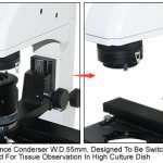 BIM750DIC Inverted Biological Microscope with DIC Nomarski Ph-70649