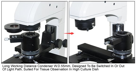 BIM750DIC Inverted Biological Microscope with DIC Nomarski Ph-70649