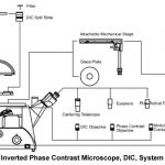 BIM750DIC Inverted Biological Microscope with DIC Nomarski Ph-70659