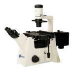 BIM800FLW Inverted Epi-Fluorescence Biological Microscope