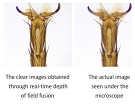 BioStitch-500 Live Image Stitching - Digital Slide Scanning Software with Free Camera-118633