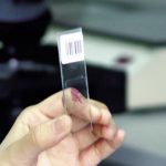Whole Slide Imaging Software of MicroVisioneer -118657
