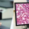 Whole Slide Imaging Software of MicroVisioneer -0