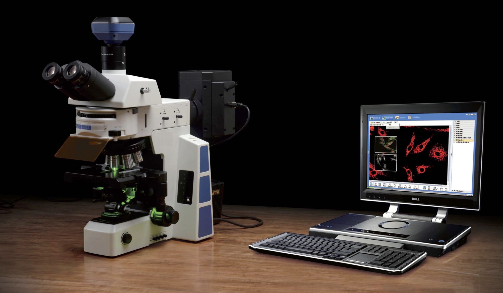 1. Fluorescence Microscope