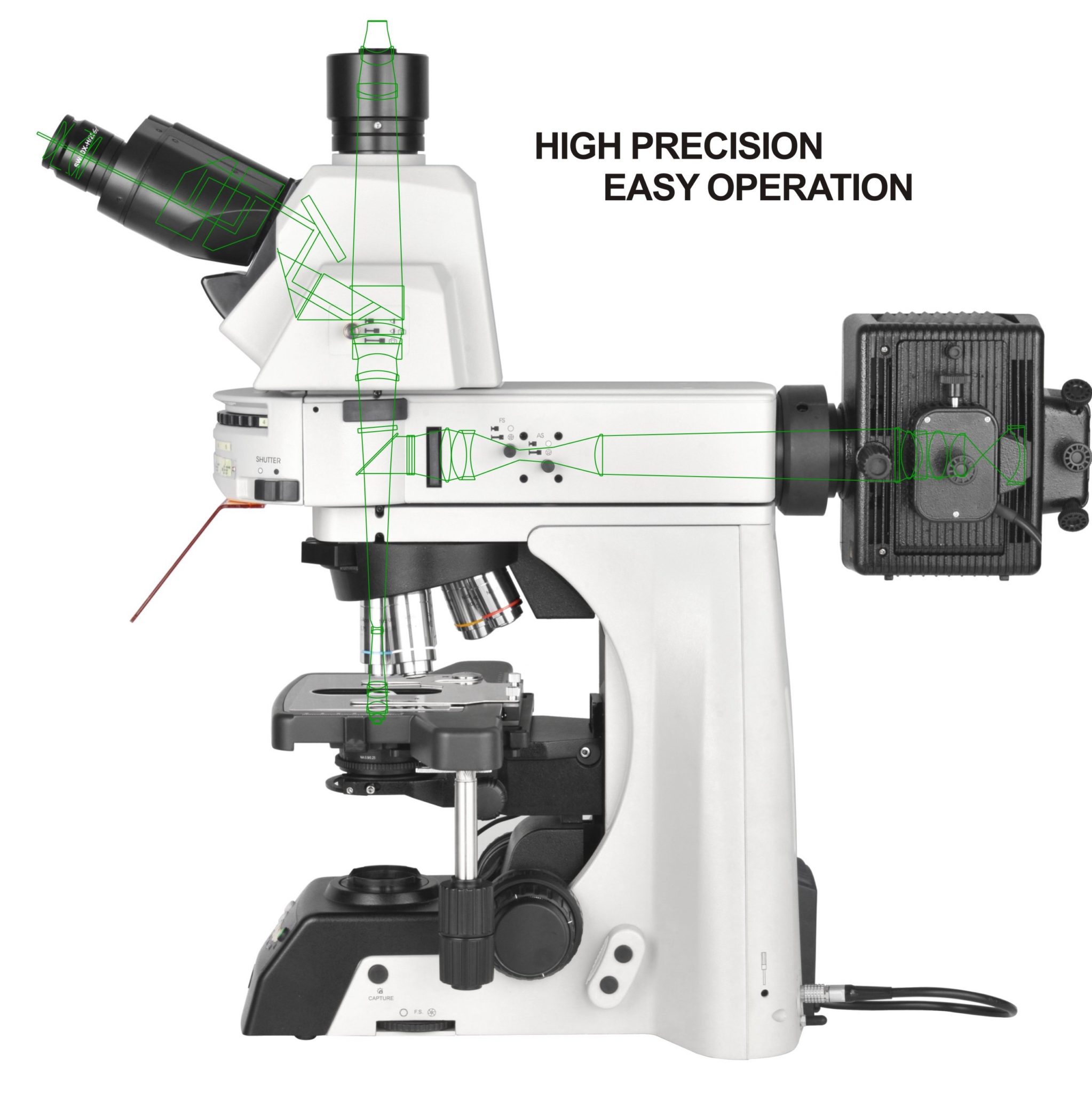 Upright Fluorescence