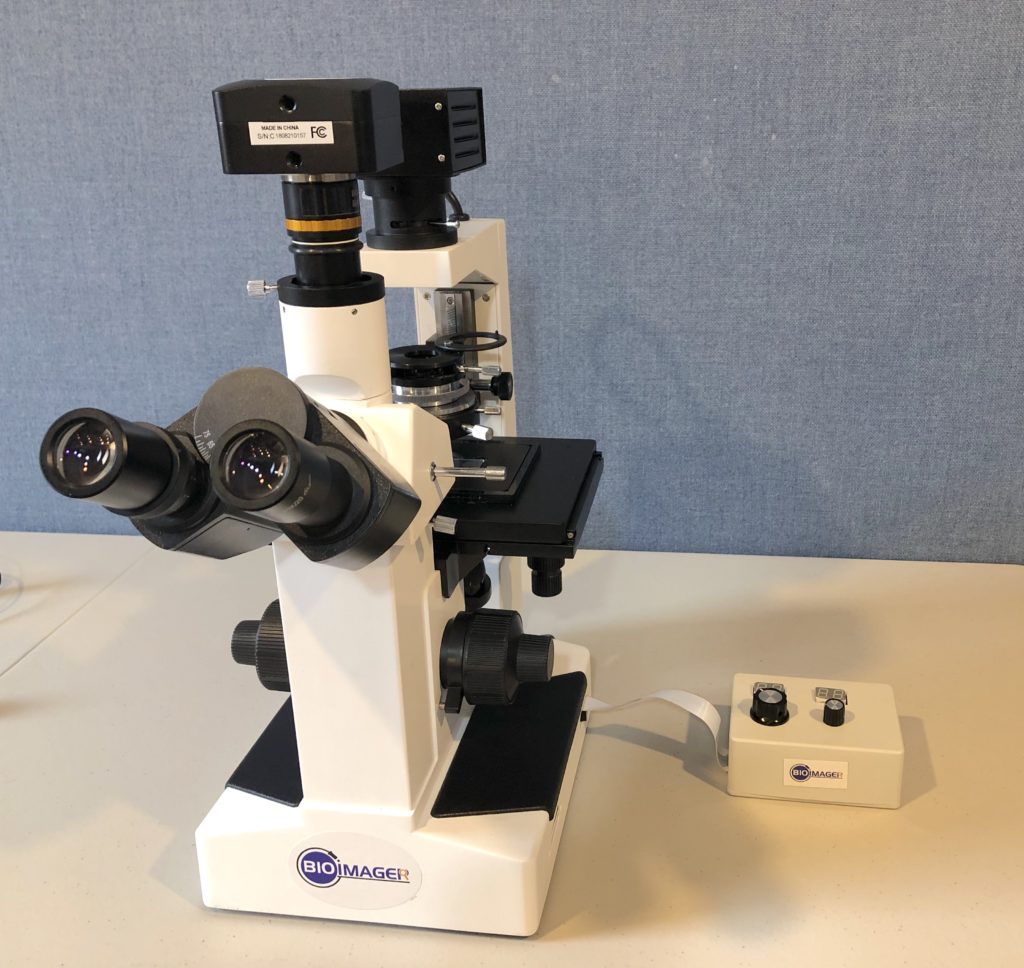 IncuScope Is250 Incubator Microscope with Phase Contrast & Fluorescence
