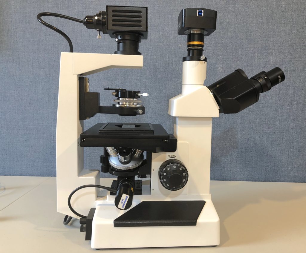 IncuScope Is250 Incubator Microscope with Phase Contrast & Fluorescence