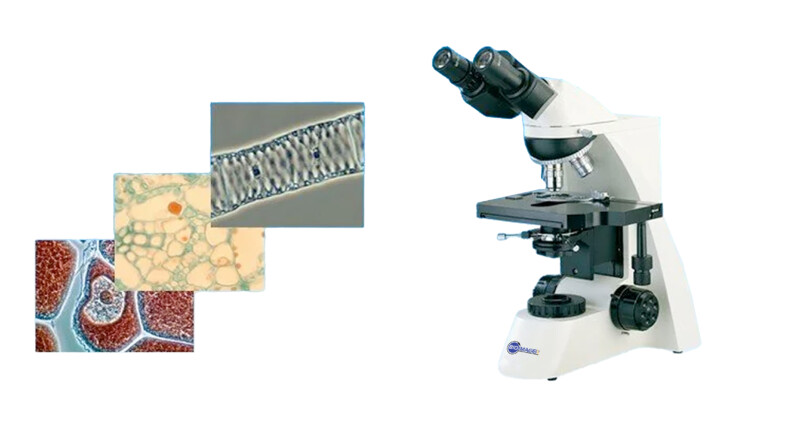 BUM370 Upright Microscope - Image 4