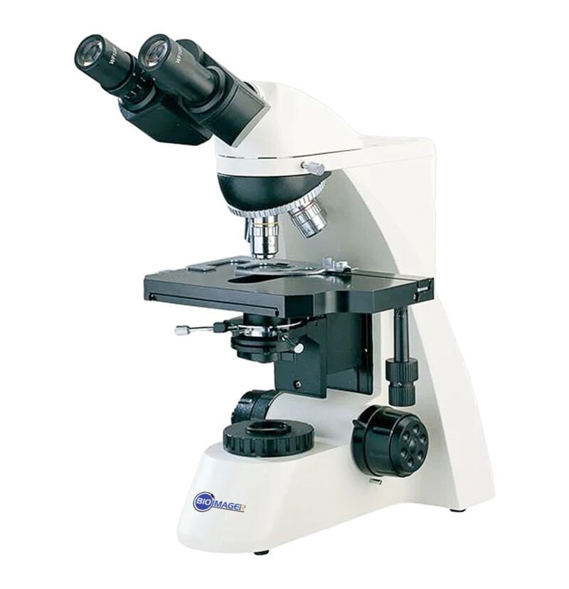 BUM370 Upright Microscope