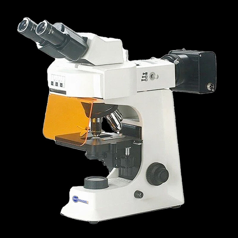 BUM450FL Advanced Upright Fluorescence Microscope - Image 3