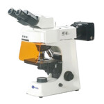 BUM450FL Advanced Upright Fluorescence Microscope