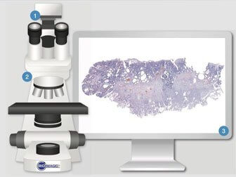 Convert Your Microscope
