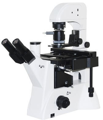 Inverted / Upright Biological Fluorescence Microscope