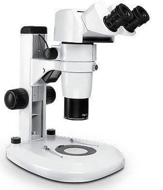 Stereo Microscopes