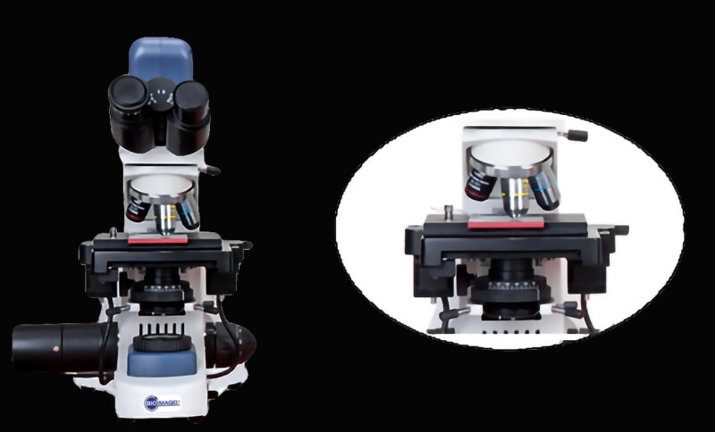 Fluorescence Slide Scanning Microscope BUM400AFL - Image 3
