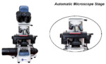 Fluorescence Slide Scanning Microscope BUM400AFL