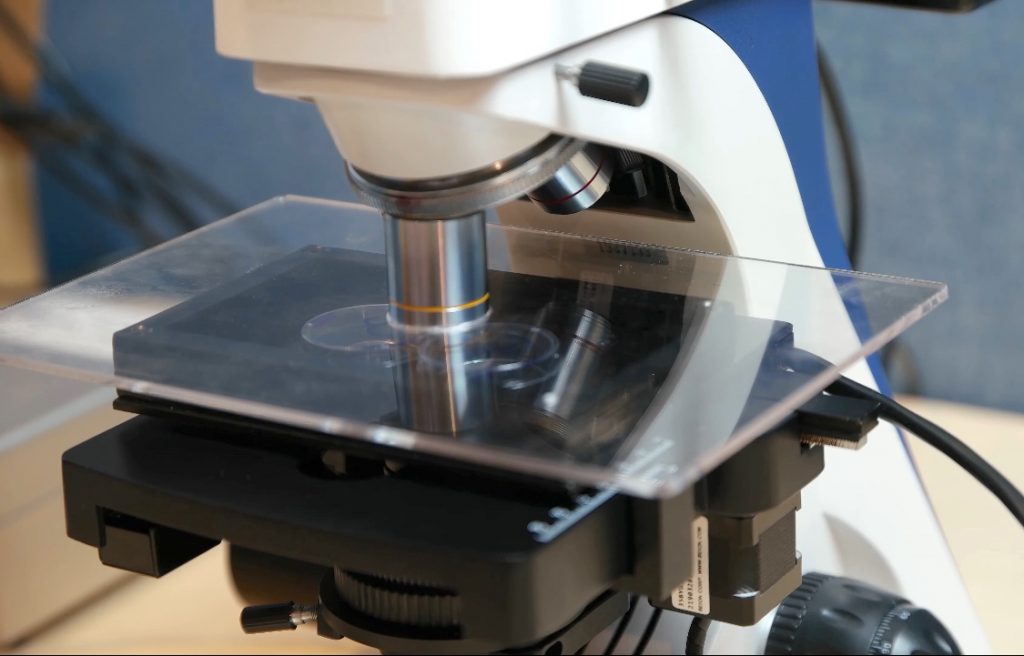 Custom Miniature Incubator/Chamber for Automated Upright Microscope