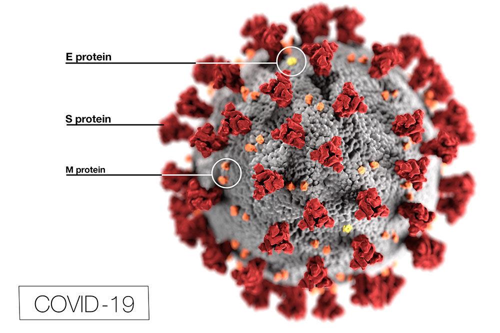 corona virus