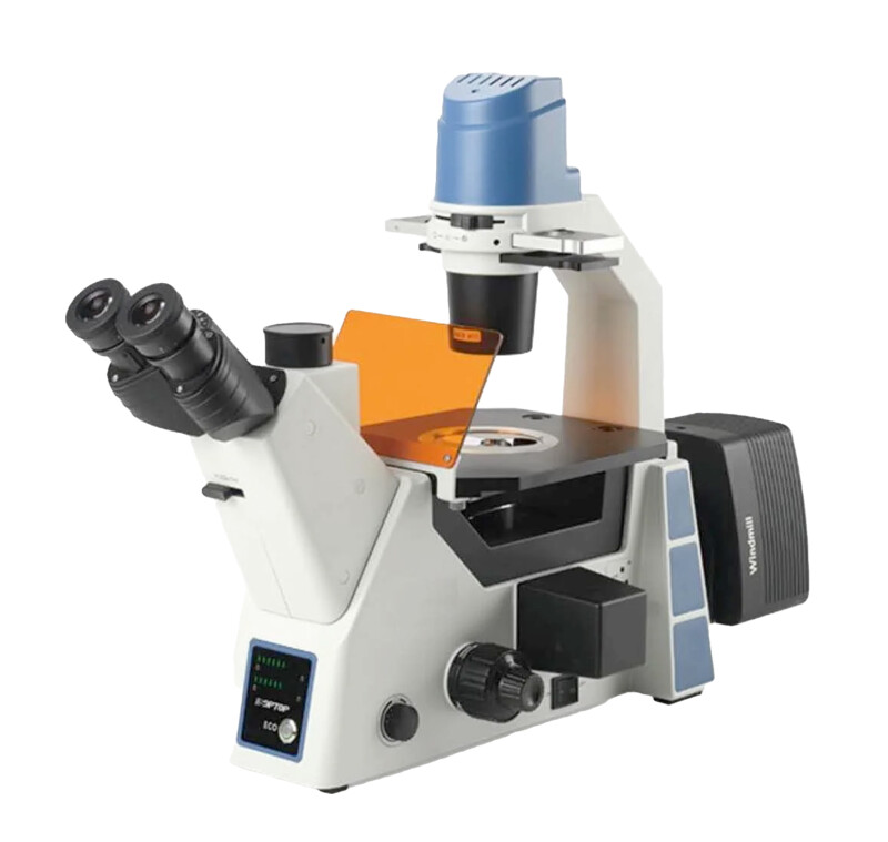 BIM410RPC/FL Hoffman/Relief Phase Contrast & Fluorescence Inverted Biological Microscope