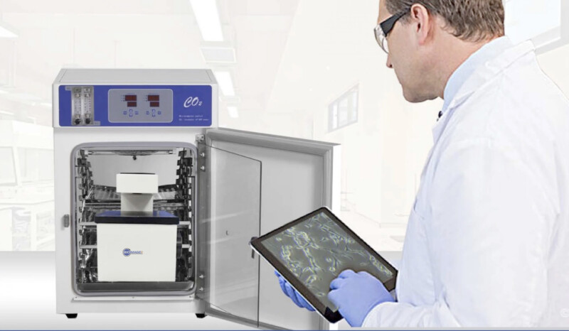 IncuScope BX-200 Box Incubator Microscope