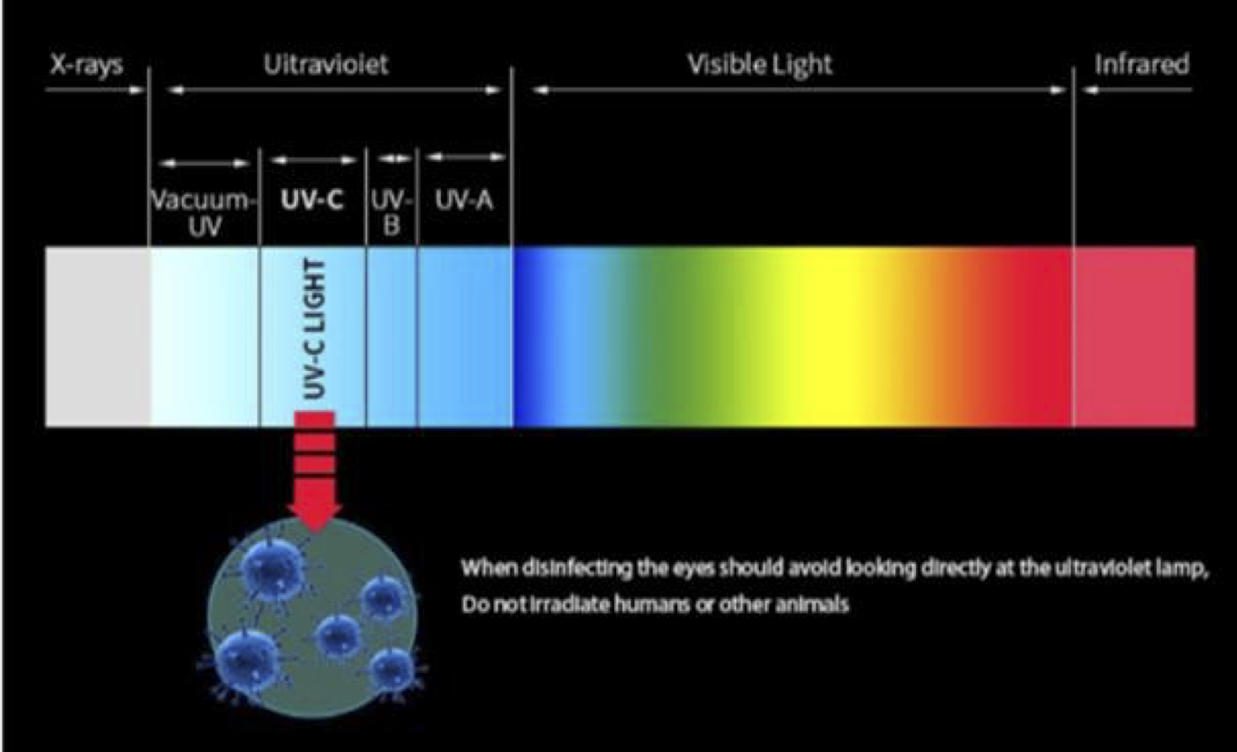 Uv a and b light hotsell